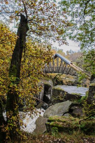 Wooden bridge across the falls